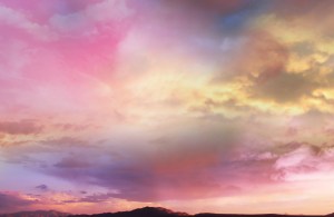 Image Credit- Blossom of Heaven by Delere