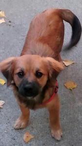 Independence (Indie) October 6, 2015 